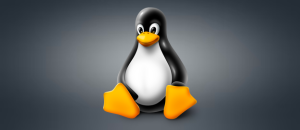 Logger Pro for Linux